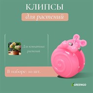 Клипсы и подвязки